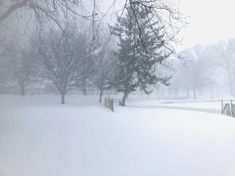 IMG_8815.jpg?type=w966