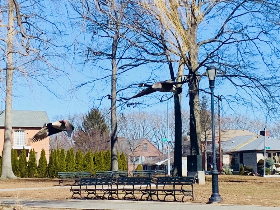 IMG_6642.jpg?type=w966