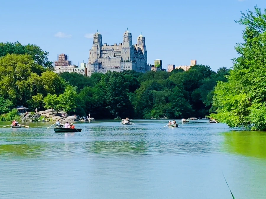 IMG_4456.jpg?type=w966