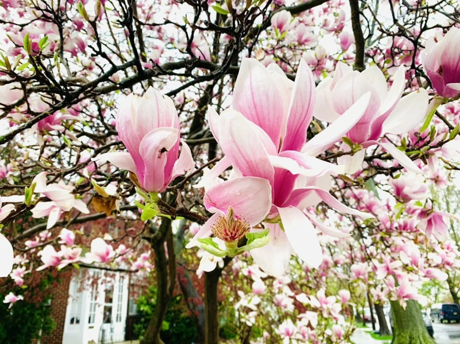 IMG_2347.jpg?type=w966