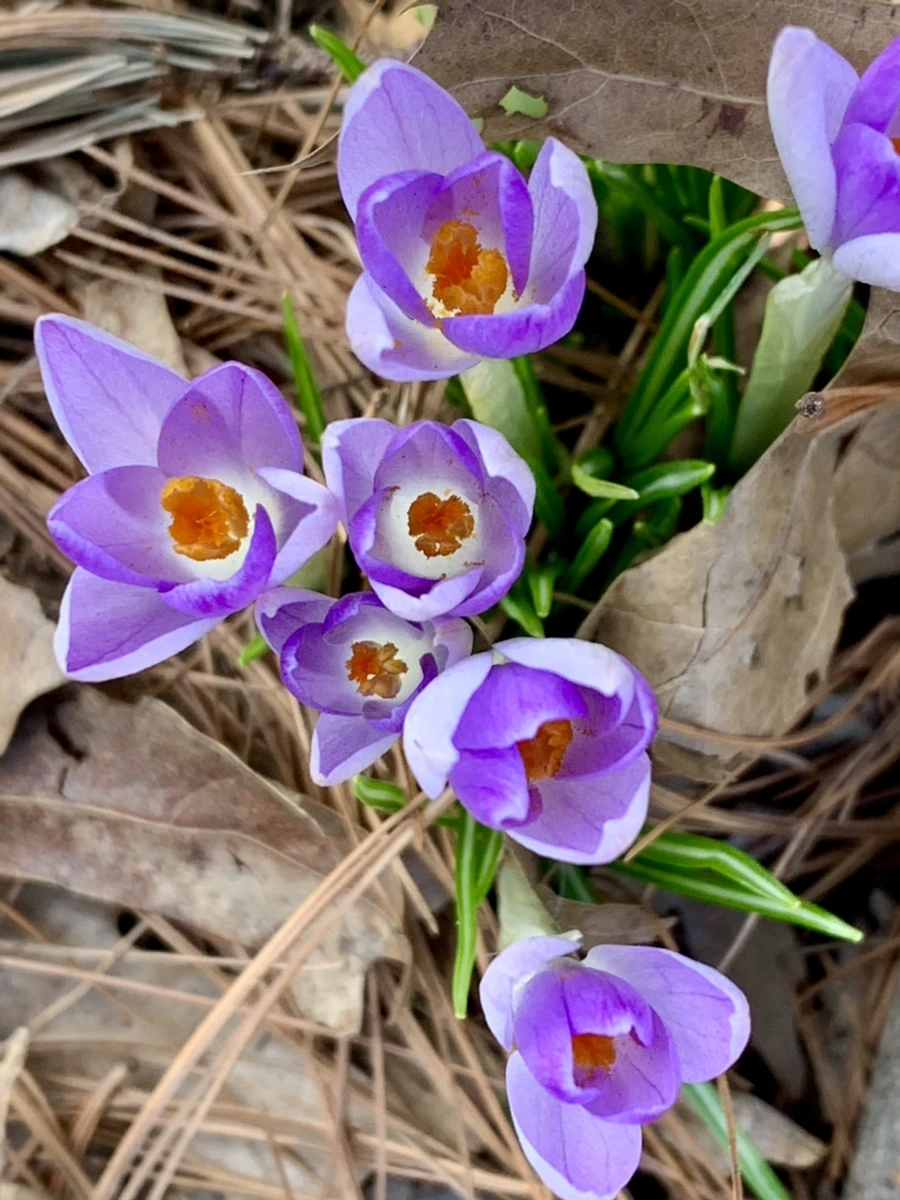 IMG_0166.jpg?type=w966