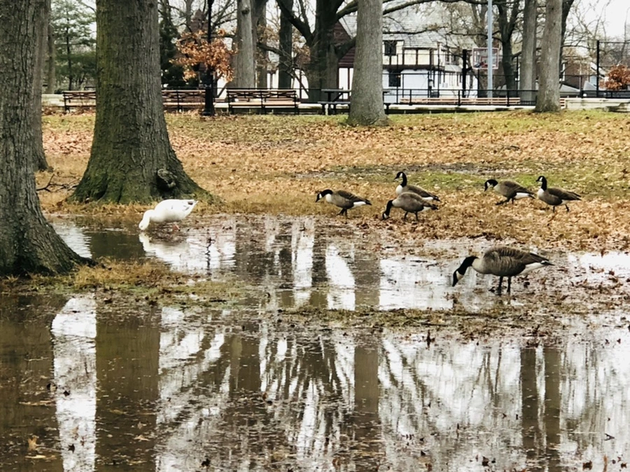 IMG_9664.jpg?type=w966