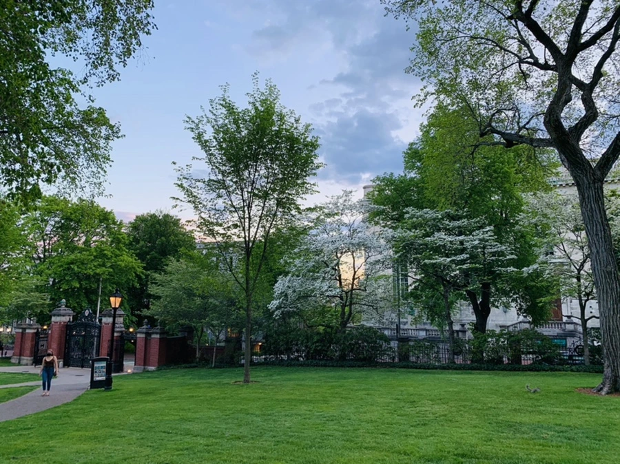 IMG_2558.jpg?type=w966