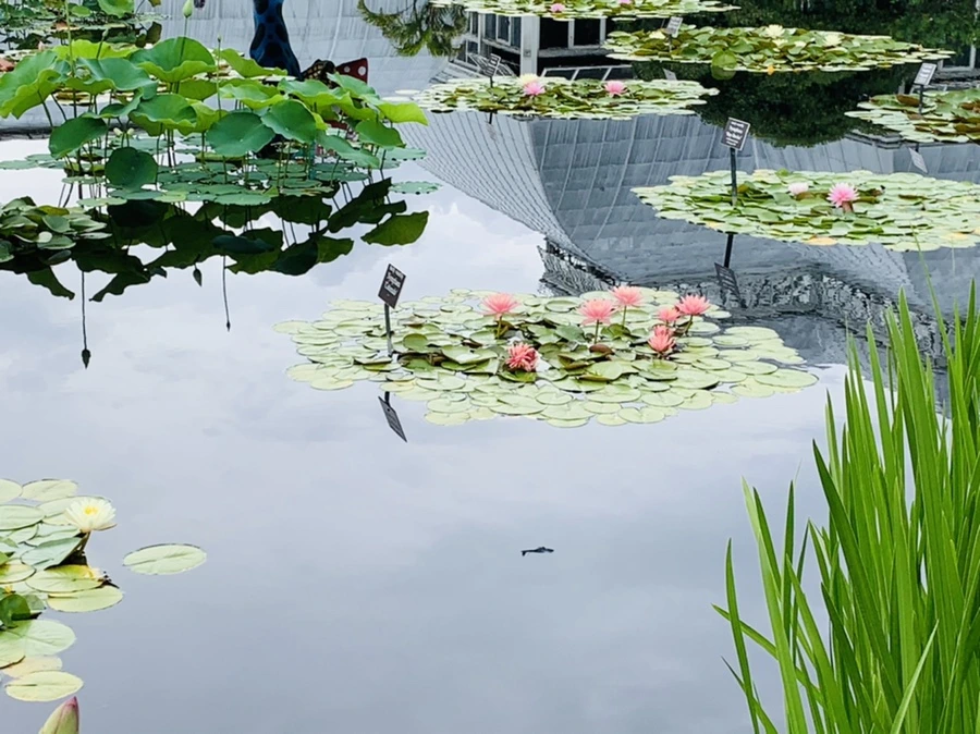 IMG_9342.jpg?type=w966