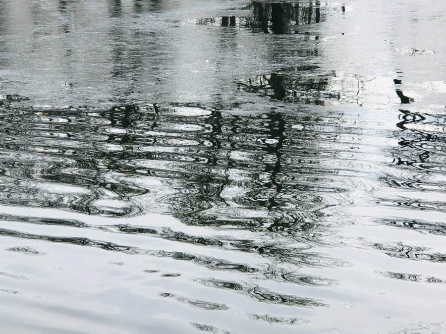 IMG_5797.jpg?type=w966