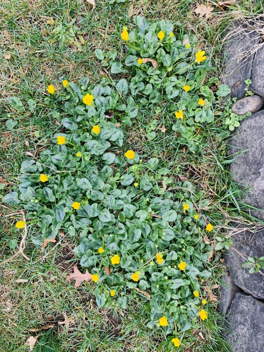 IMG_4028.jpg?type=w966