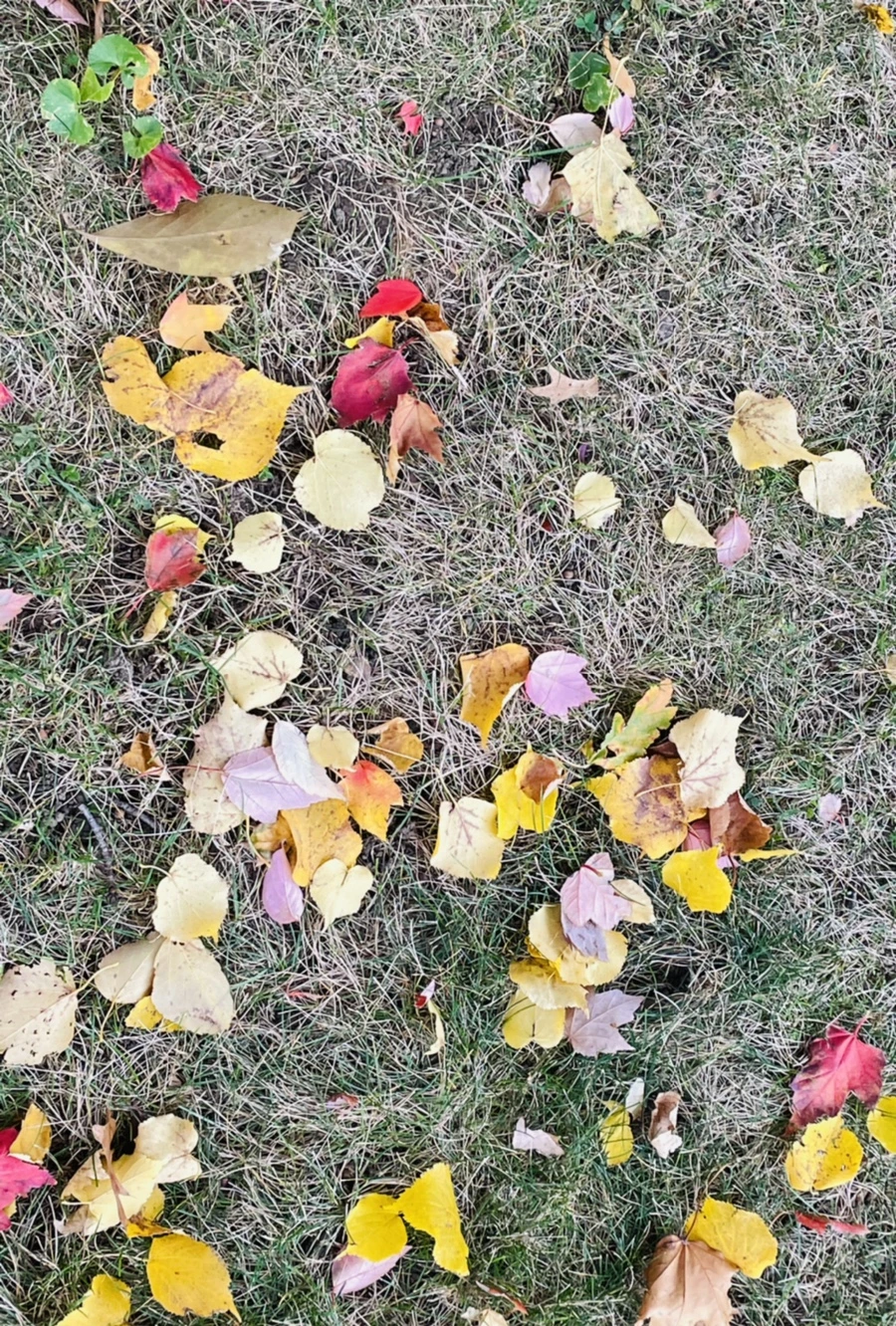 IMG_2459.jpg?type=w966