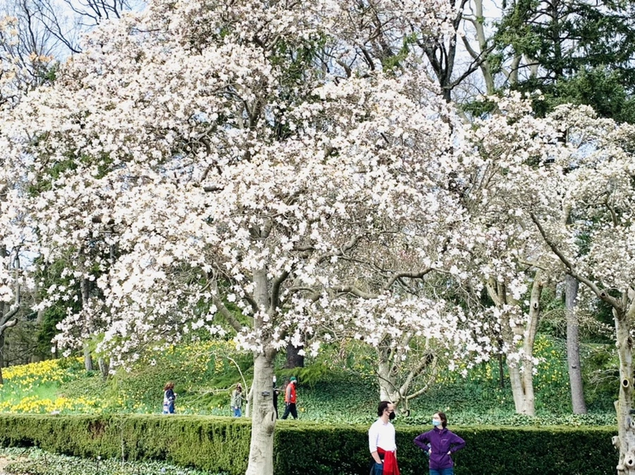 IMG_7168.jpg?type=w966