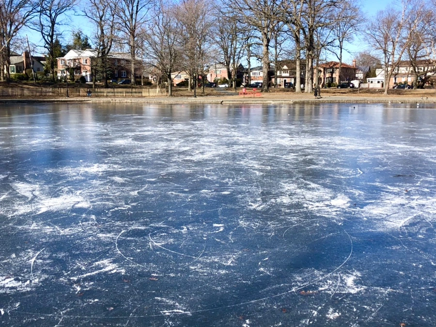 IMG_7669.jpg?type=w966