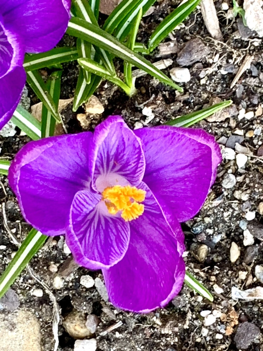 IMG_3134.jpg?type=w966