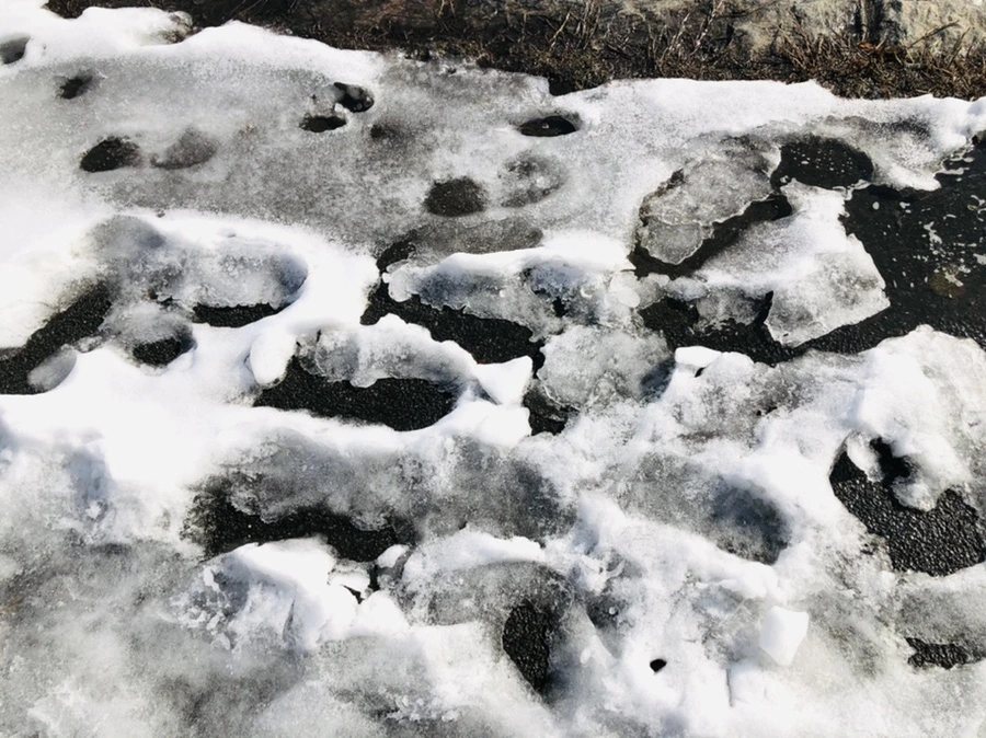 IMG_0141.jpg?type=w966