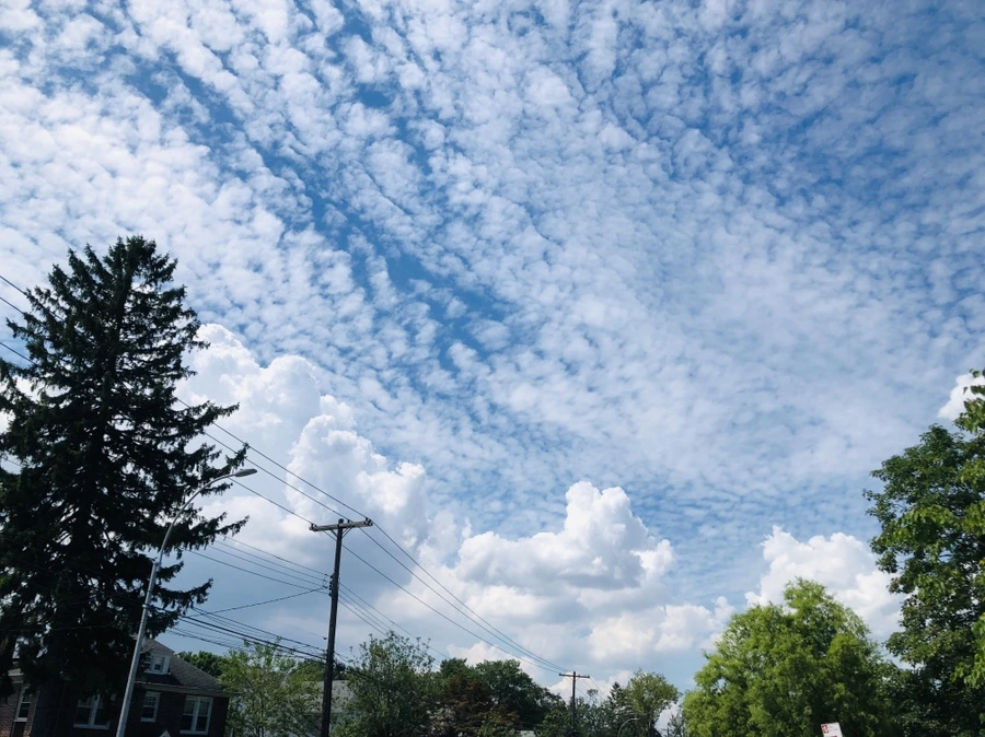 IMG_5251.jpg?type=w966