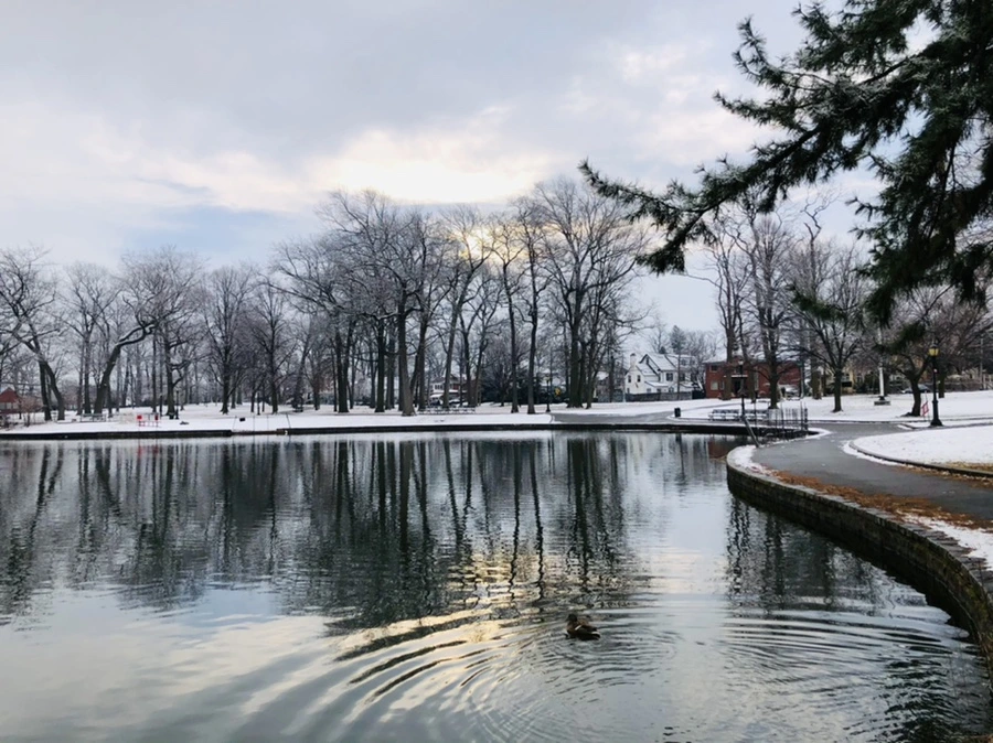 IMG_4535.jpg?type=w966