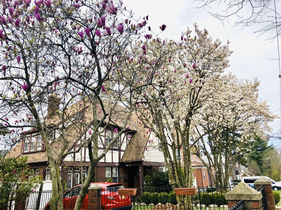 IMG_7074.jpg?type=w966