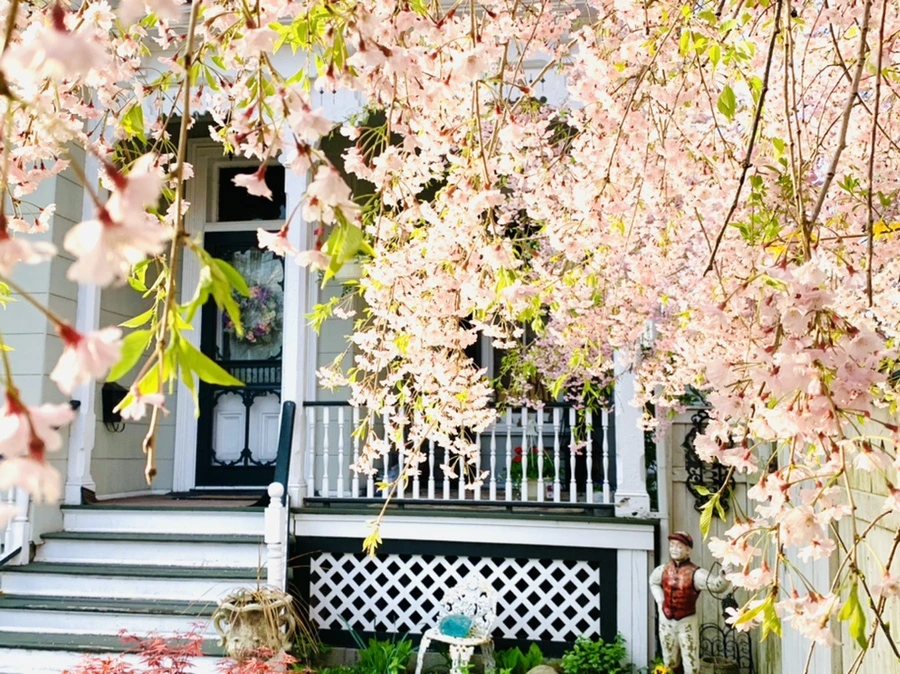 IMG_3731.jpg?type=w966