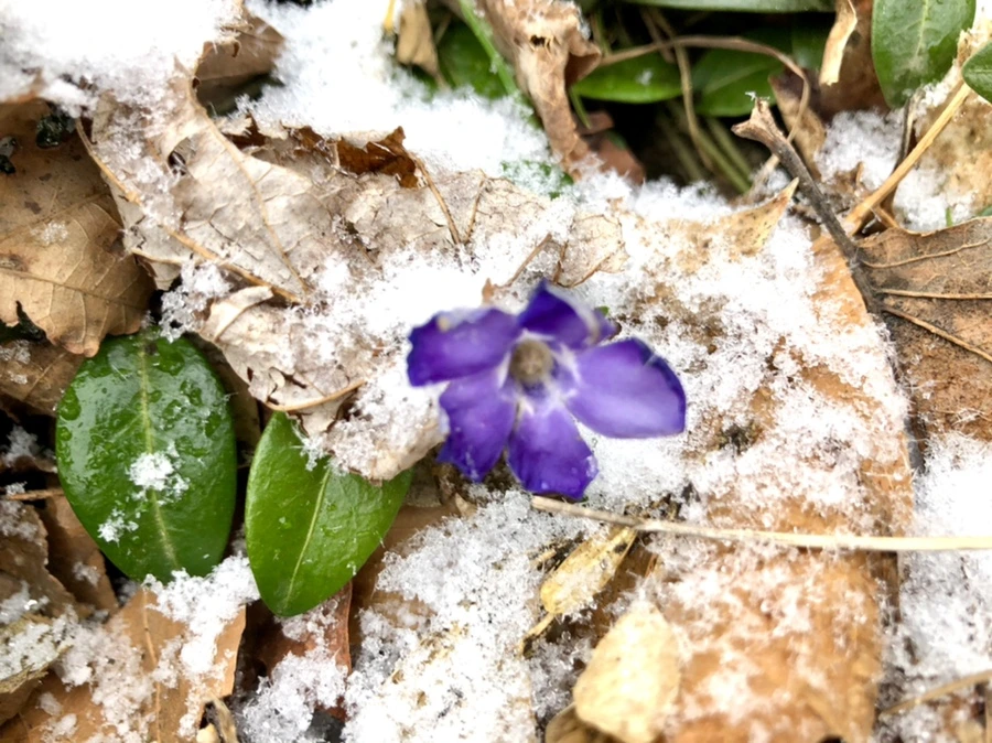 IMG_6330.jpg?type=w966