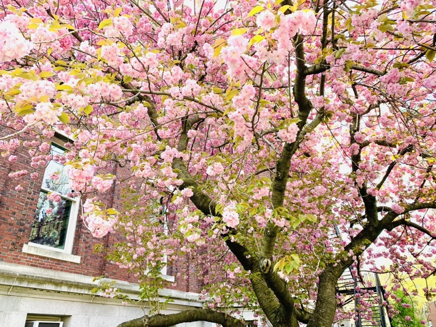 IMG_5100.jpg?type=w966