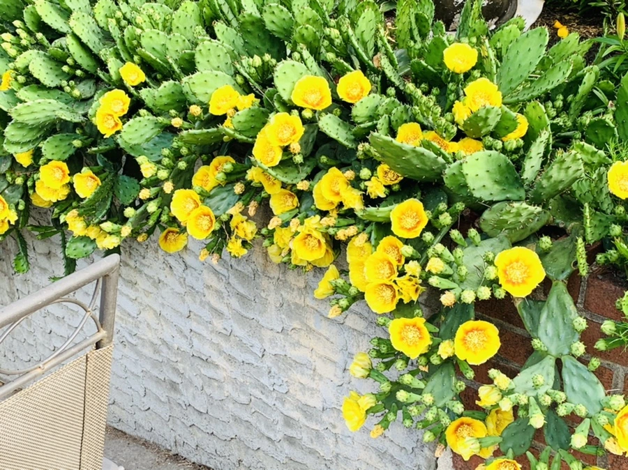 IMG_2684.jpg?type=w966