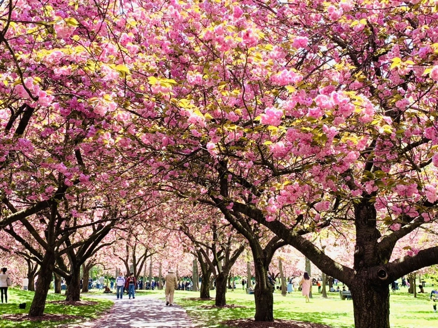 IMG_6428.jpg?type=w966