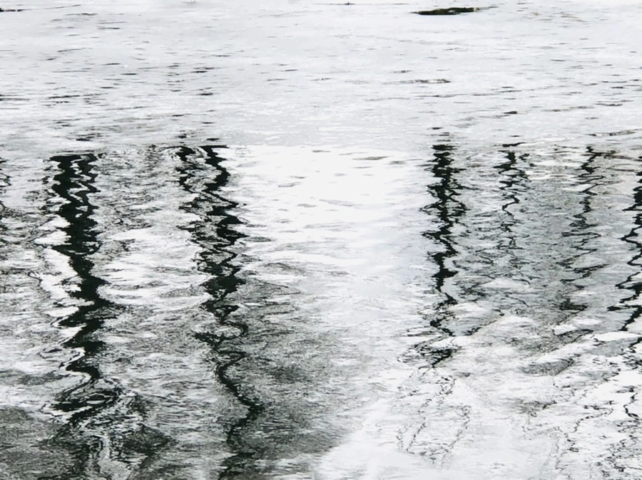 IMG_6467.jpg?type=w966