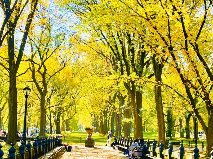 IMG_1606.jpg?type=w966