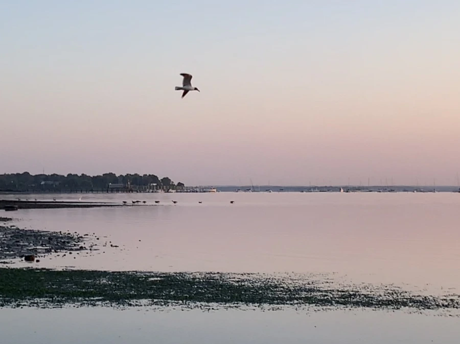 IMG_0147.jpg?type=w966