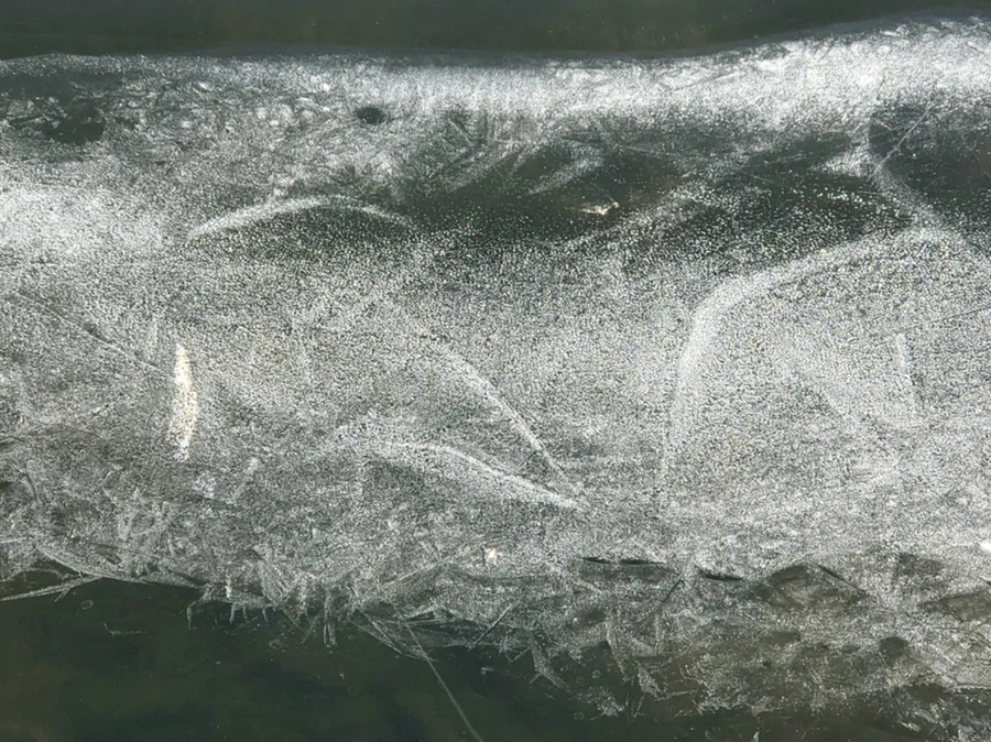 IMG_7900.jpg?type=w966