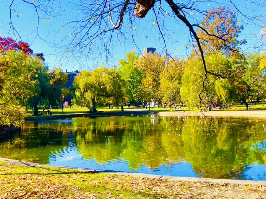 IMG_2542.jpg?type=w966