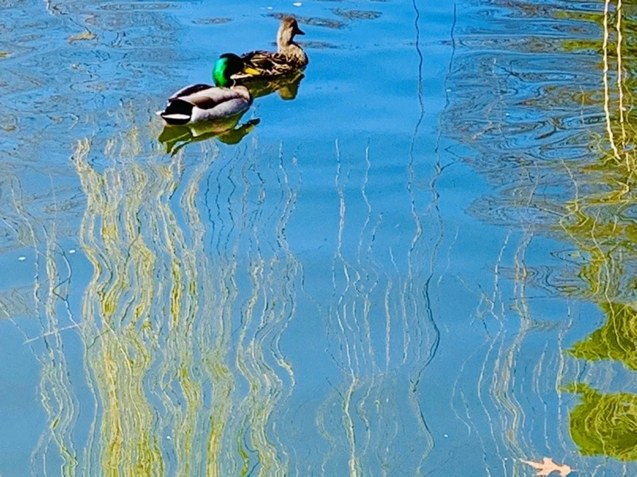 svQOUKVn-fwGgho4Cu_ZaRVUXjk