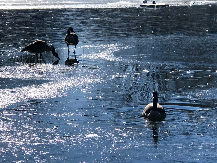 IMG_8010.jpg?type=w966