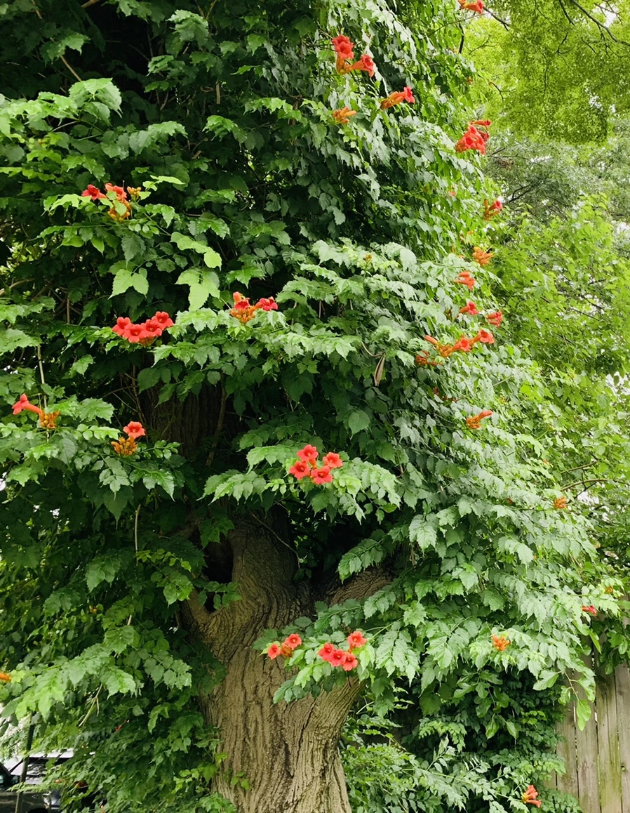 IMG_6934.jpg?type=w966