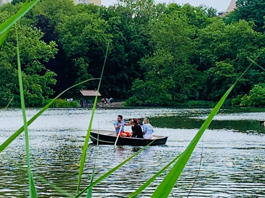 IMG_3389.jpg?type=w966