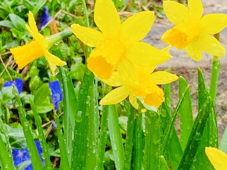 IMG_5014.jpg?type=w966