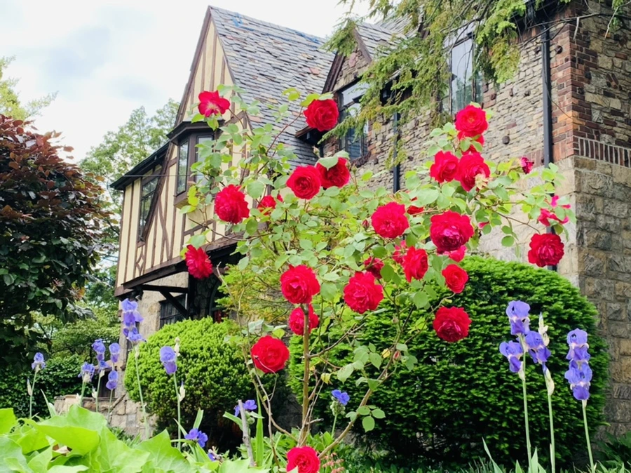 IMG_5389.jpg?type=w966