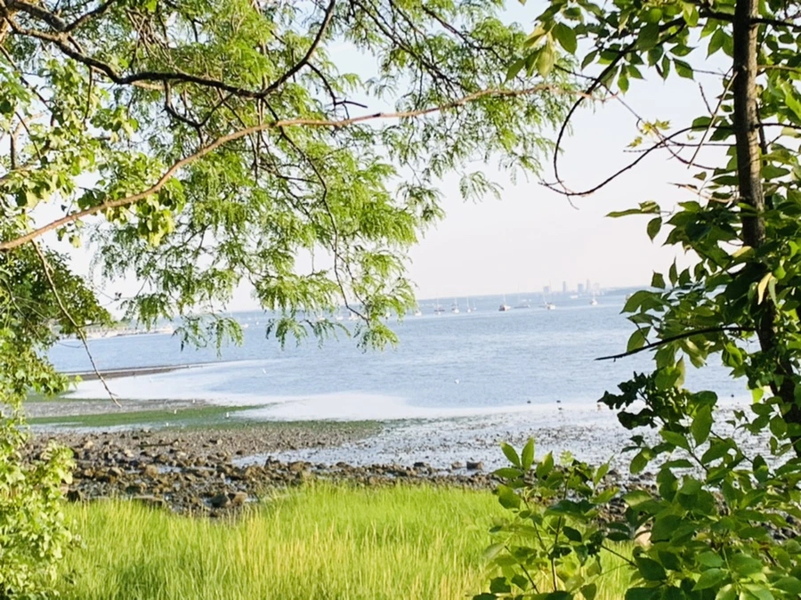 IMG_9819.jpg?type=w966