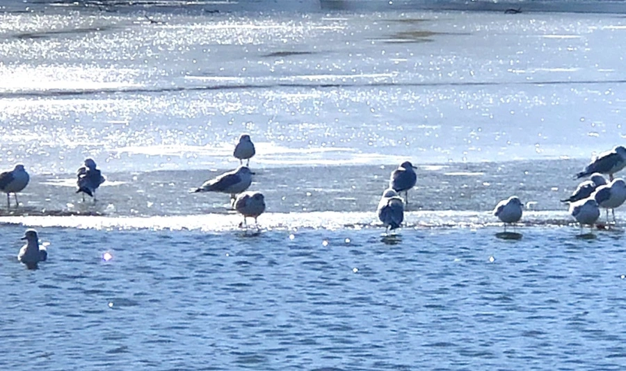 IMG_6702.jpg?type=w966