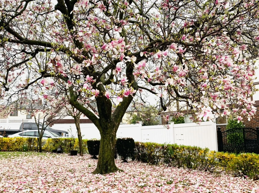 IMG_2221.jpg?type=w966