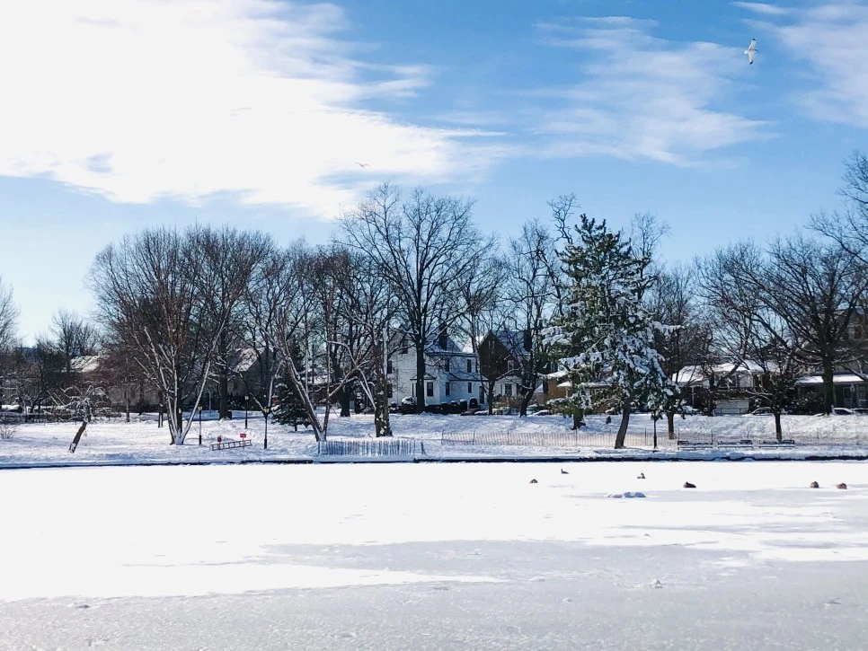 IMG_1288.jpg?type=w966