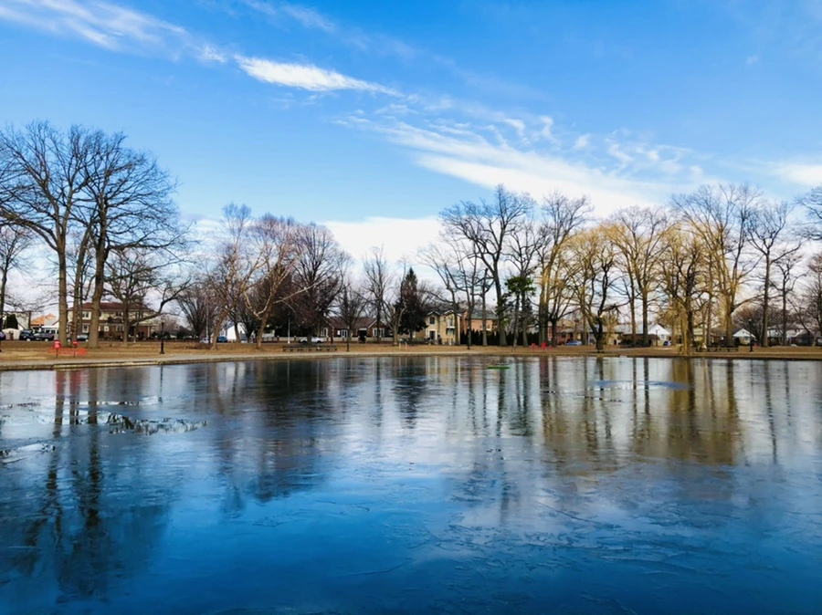 IMG_4777.jpg?type=w966