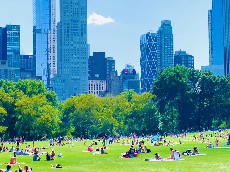 IMG_4414.jpg?type=w966