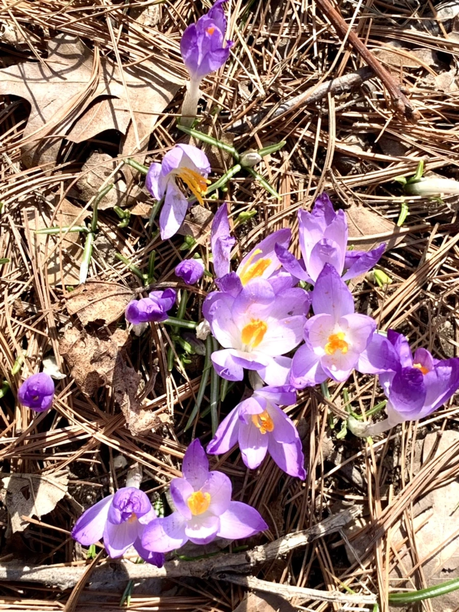 IMG_9655.jpg?type=w966