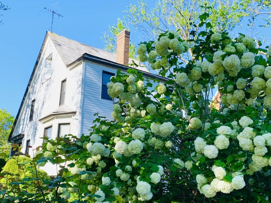 IMG_2048.jpg?type=w966