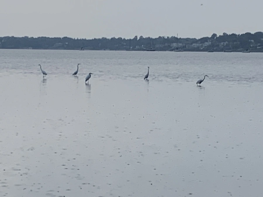 IMG_8134.jpg?type=w966