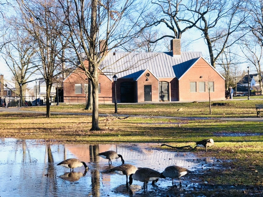 IMG_9276.jpg?type=w966