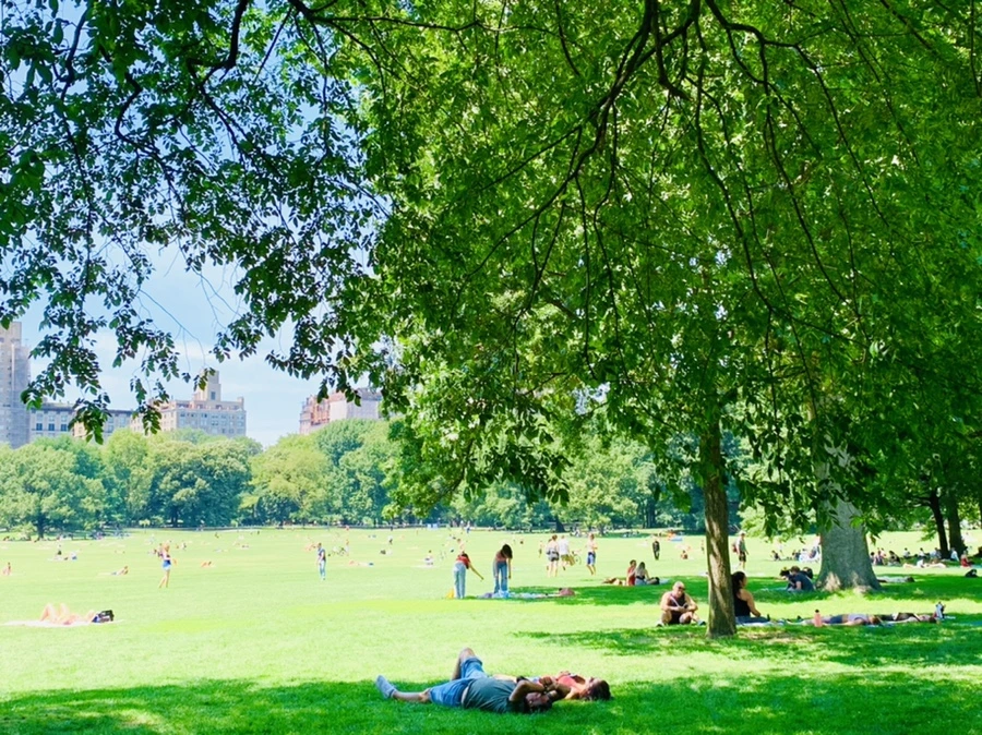 IMG_4986.jpg?type=w966