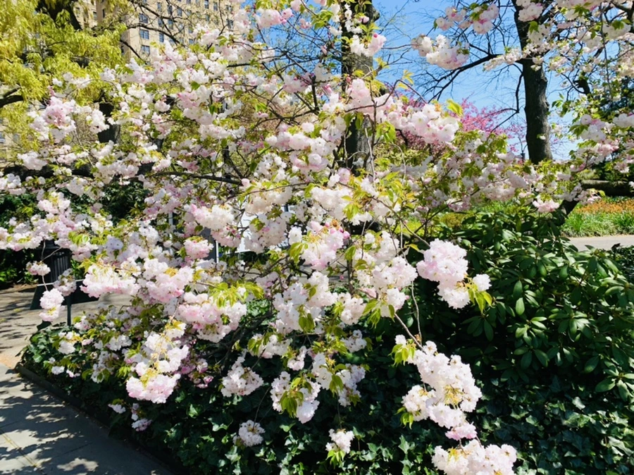 IMG_4828.jpg?type=w966