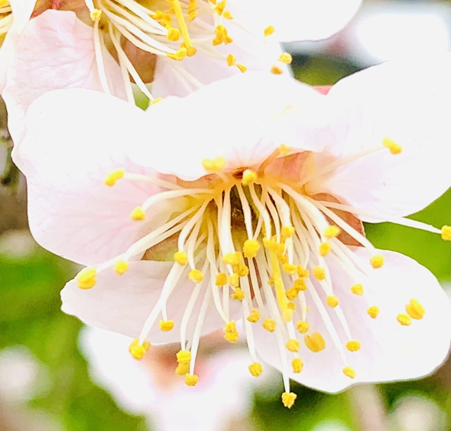 IMG_1690.jpg?type=w966