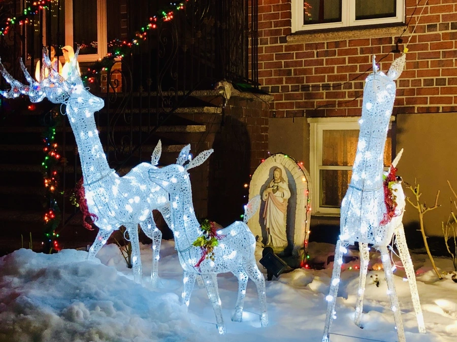 IMG_7706.jpg?type=w966