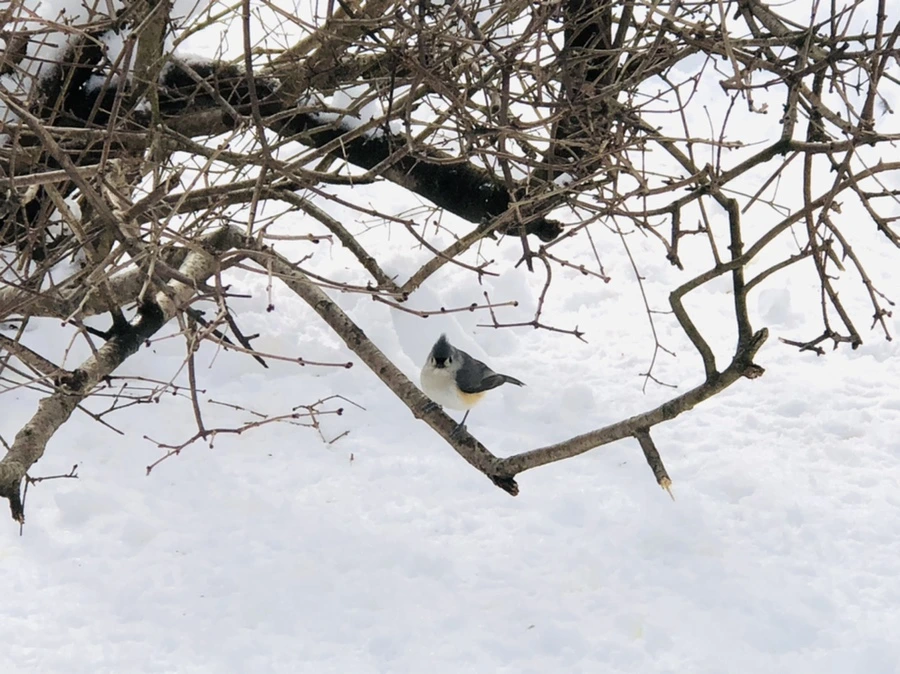 IMG_9337.jpg?type=w966