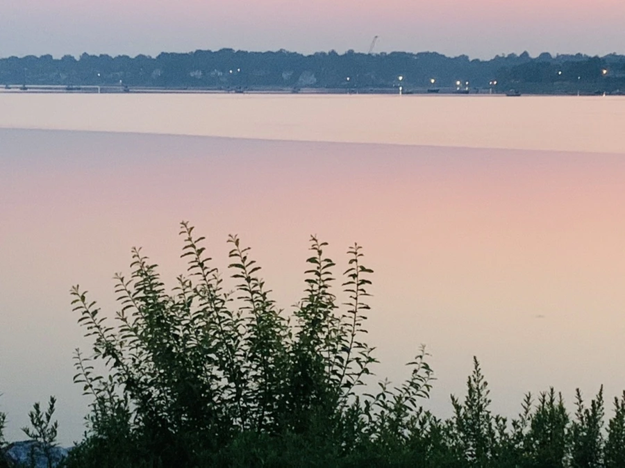 IMG_1830.jpg?type=w966